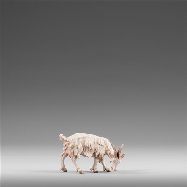 Ziege fressend Ziege fressend