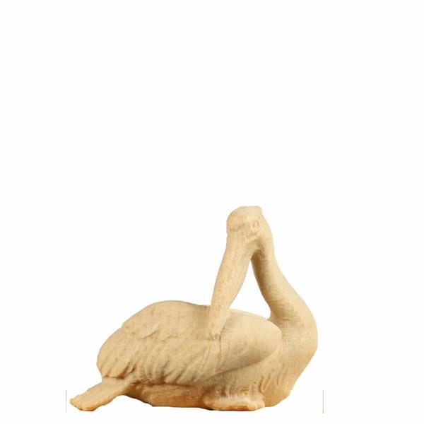 Pelikan nach hinten schauend Pelikan nach hinten schauend