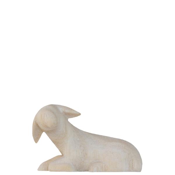 Schaf liegend Schaf liegend