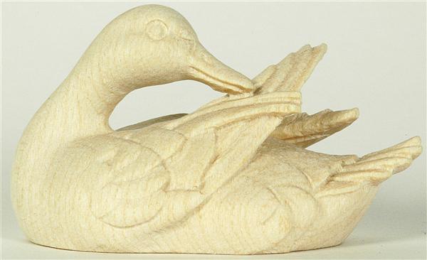 Ente - Flügel putzend grün