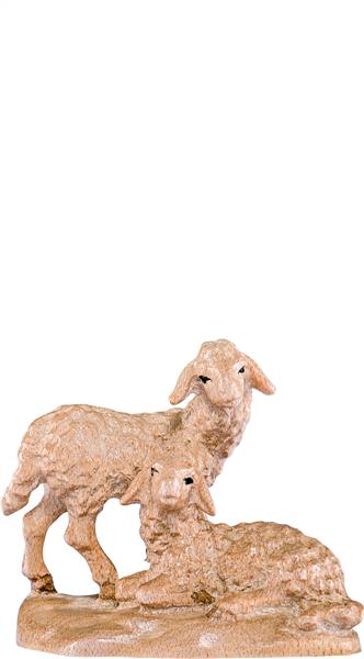 Lammgruppe Lammgruppe