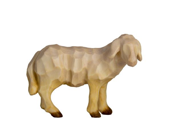 Schaf schauend