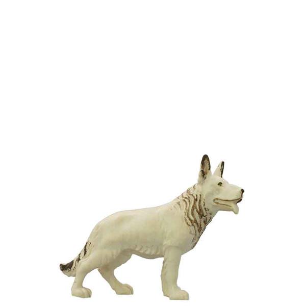 Hund Schäferhund Hund Schäferhund