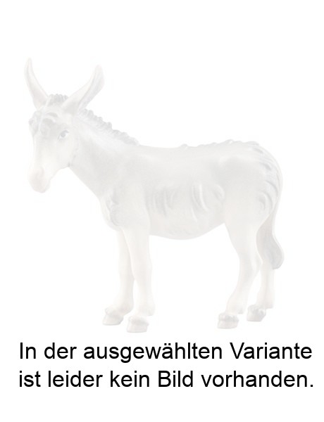 Esel