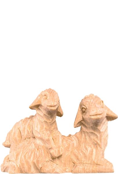 Schafgruppe liegend Schafgruppe liegend