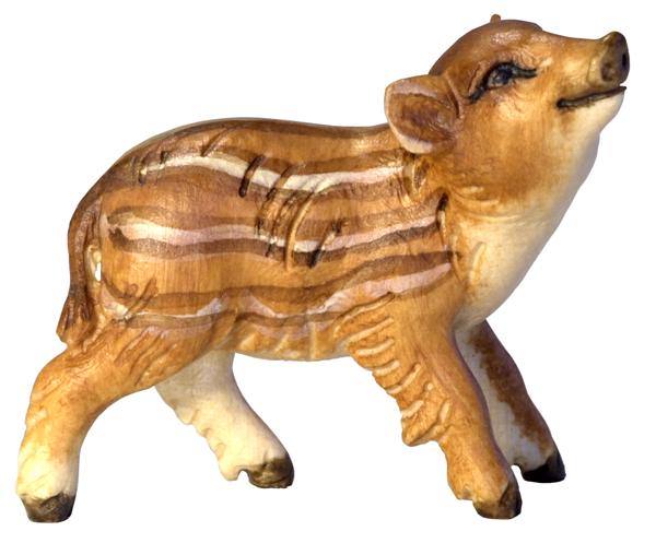 Wildschweinjunge Kopf oben Wildschweinjunge Kopf oben