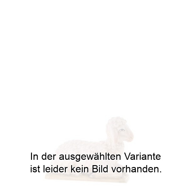 Schaf liegend Schaf liegend