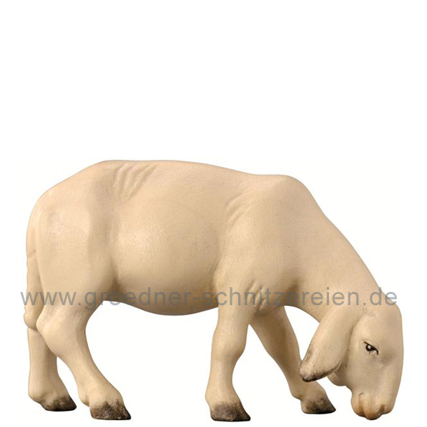 Schaf modern äsend Schaf modern äsend