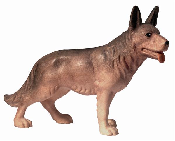 Hund Schäferhund
