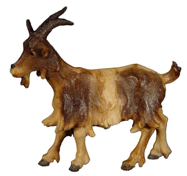 Ziege