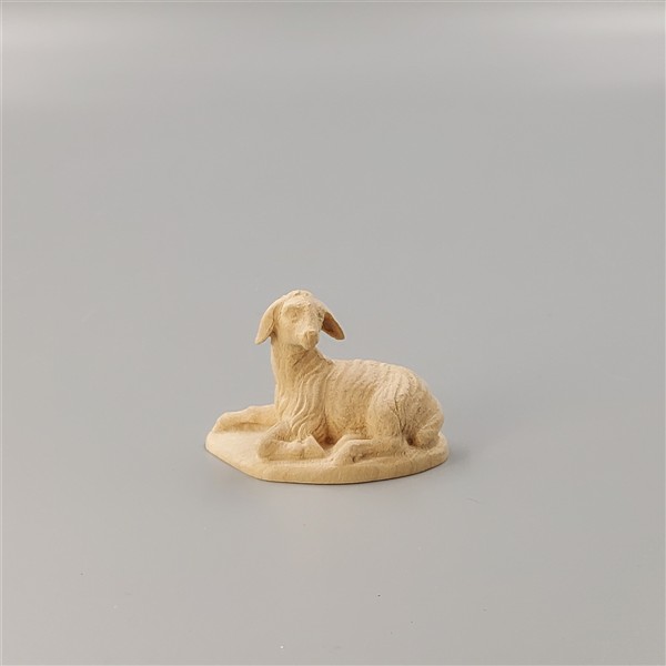 Schaf liegend Schaf liegend