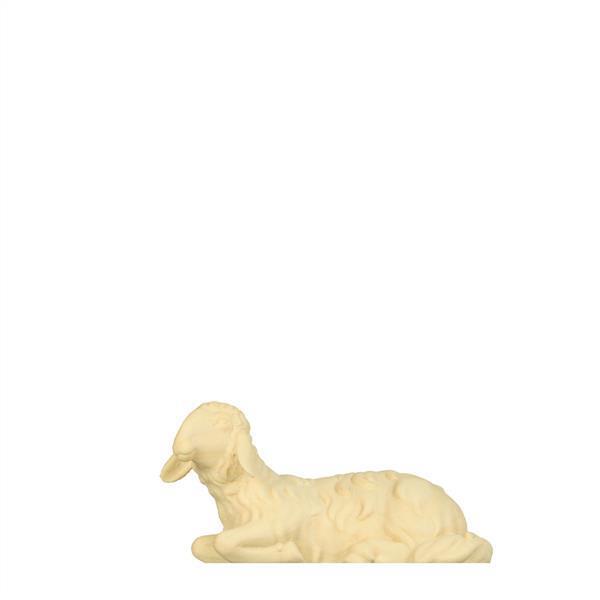 Schaf liegend Schaf liegend