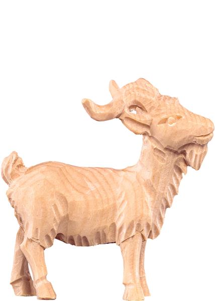 Ziegenbock Ziegenbock