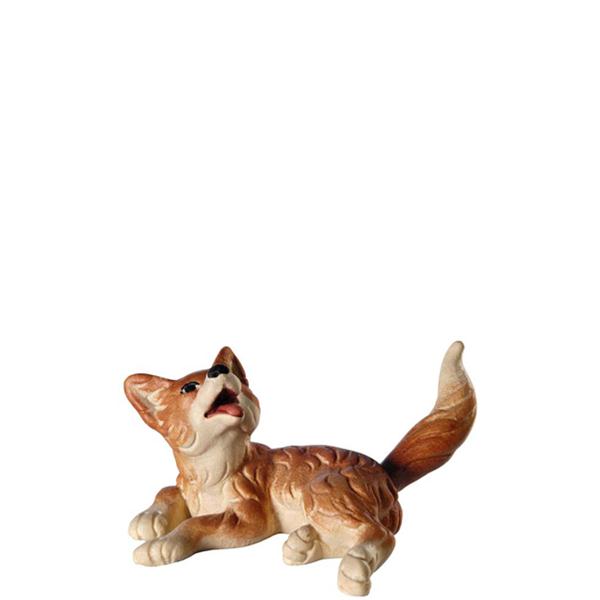 Fuchswelpe liegend Fuchswelpe liegend