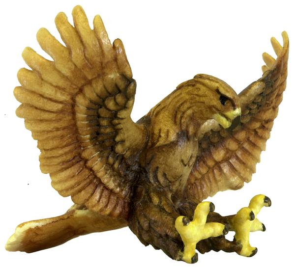 Steinadler fliegend braun