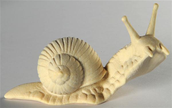 Weinbergschnecke (oben)
