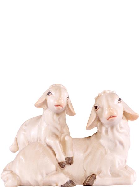 Schafgruppe liegend Artis Schafgruppe liegend Artis