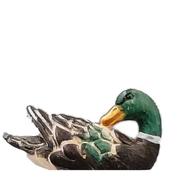 Ente schwimmend - Kopf hinten grün