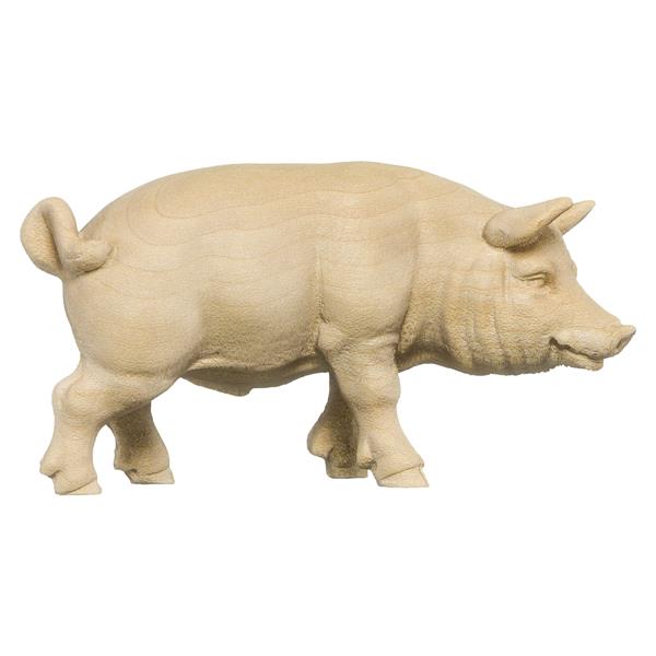 Schwein
