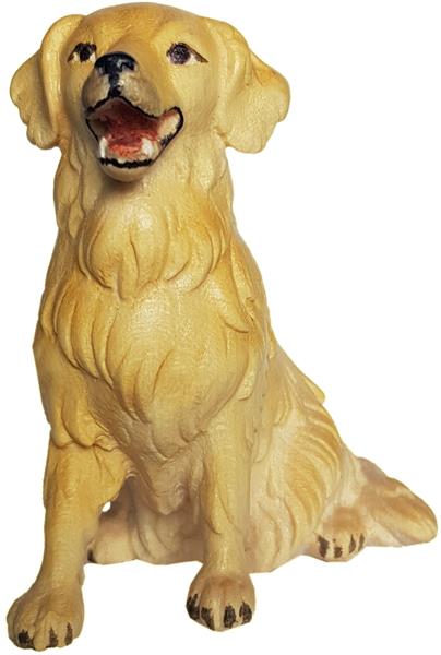 Golden Retriever sitzend Golden Retriever sitzend