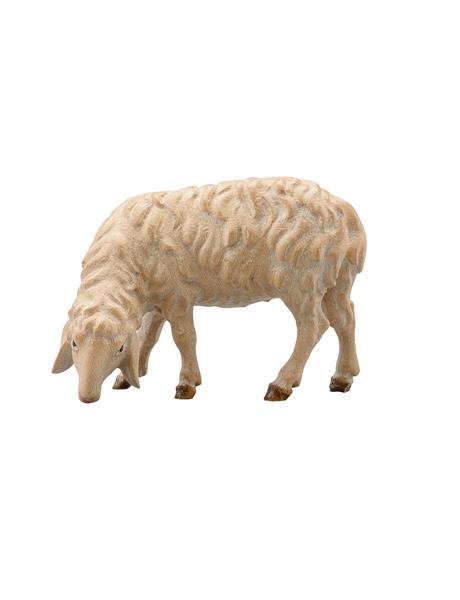 Schaf fressend links Schaf fressend links