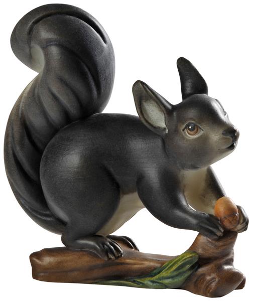 Eichhörnchen auf Ast grau Eichhörnchen auf Ast grau