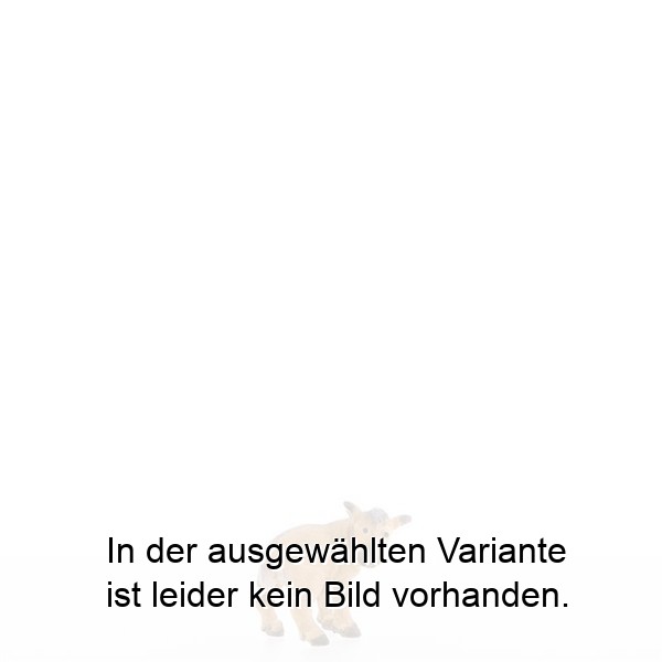 Kitz nach hinten schauend Kitz nach hinten schauend