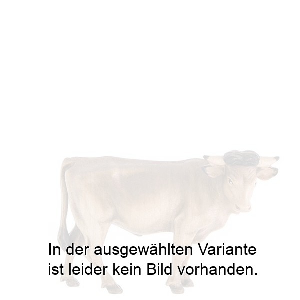 Ochs stehend