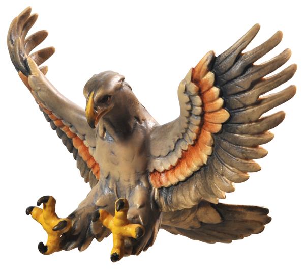 Adler fliegend grau