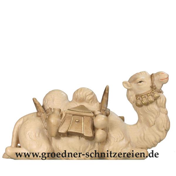 Kamel liegend Kamel liegend