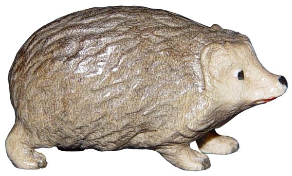 Junger Igel Junger Igel