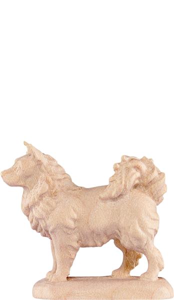 Spitzhund
