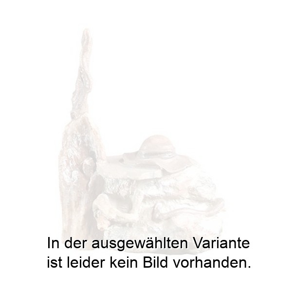 Stein mit Hut Stein mit Hut